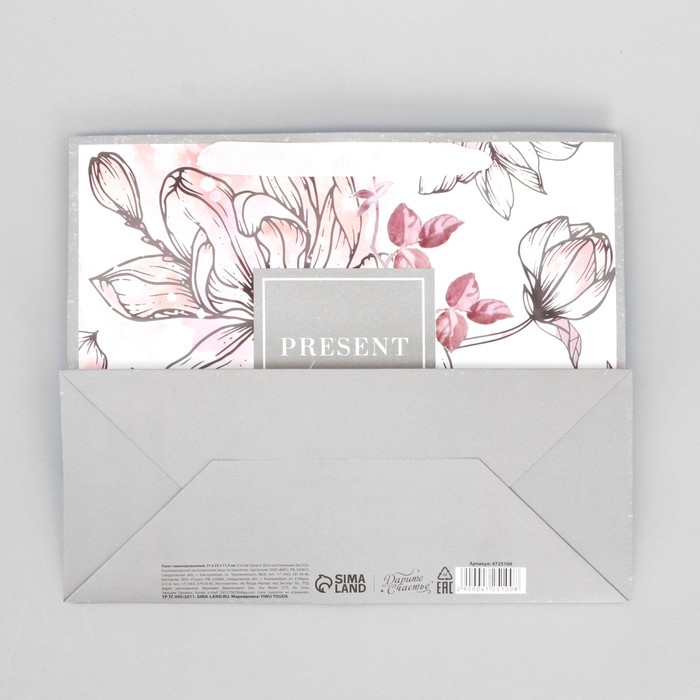 Пакет подарочный ламинированный горизонтальный, упаковка, «Present for you», ML 27 х 23 х 11,5 см Пакет подарочный ламинированный горизонтальный, упаковка, «Present for you», ML 27 х 23 х 11,5 см