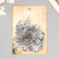 Наклейки для творчества пластик PVC "Эскизы растений" набор 60 шт 10х14 см