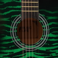 Акустическая гитара Music Life QD-H38Q-hw, зелёная