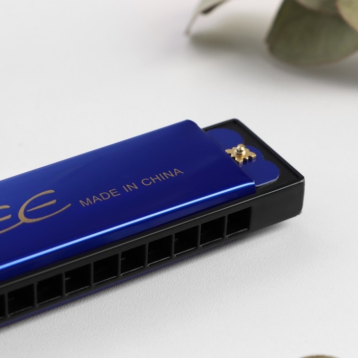 Губная гармошка Bee DF16A Blue, 16 отверстий Губная гармошка Bee DF16A Blue, 16 отверстий