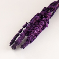 Набор сухоцветов "Железница", банч длина 35 (+/- 6 см), фиолетовый Набор сухоцветов "Железница", банч длина 35 (+/- 6 см), фиолетовый