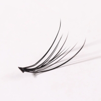 Набор накладных ресниц &laquo;Ласточкин хвост&raquo;, пучки, 14 мм, толщина 0,1 мм, изгиб С, 12 D