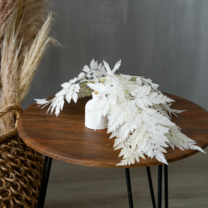 Сухоцвет «Папоротник», белый, 10 шт. в упаковке Сухоцвет «Папоротник», белый, 10 шт. в упаковке