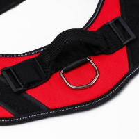 Шлейка К9 мягкая светоотражающая, размер L, ОГ 68-80 см, вес 17,5-32,5 см, красная Шлейка К9 мягкая светоотражающая, размер L, ОГ 68-80 см, вес 17,5-32,5 см, красная