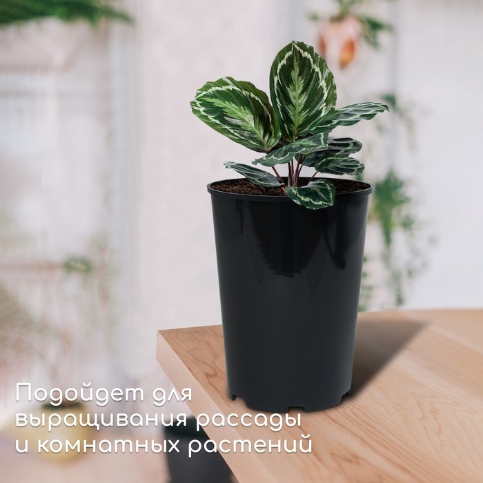 Горшок для рассады, для роз, 4 л, d = 18 см, h = 21,5 см, чёрный, Greengo