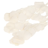 Сухоцвет персикого дерева, 50 г, длина &mdash; 70 см, цвет белый