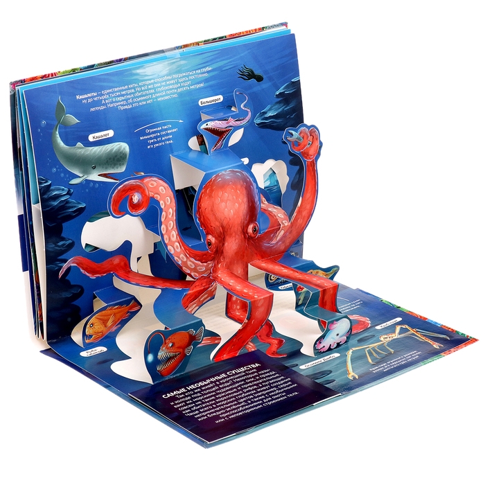 3D энциклопедия-панорамка &laquo;Море&raquo;