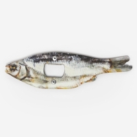 Открывашка для пива "Вобла" Открывашка для пива "Вобла"