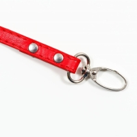 Поводок "Основа" 120 х 1 см, красный Поводок "Основа" 120 х 1 см, красный