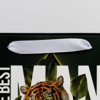 Пакет подарочный ламинированный с пластиковым окном, упаковка, &laquo;Лучшему&raquo;, 30,5 х 25 х 17,5 см