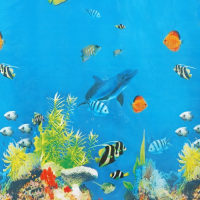 Штора для ванной комнаты Доляна «Рыбки», 180×180 см, PEVA Штора для ванной комнаты Доляна «Рыбки», 180×180 см, PEVA