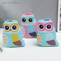 Копилка металл "Филин очковый" МИКС 16х13х6,5 см Копилка металл "Филин очковый" МИКС 16х13х6,5 см