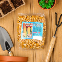 Семена Кукуруза сахарная "Тройная сладость", 500 г Семена Кукуруза сахарная "Тройная сладость", 500 г