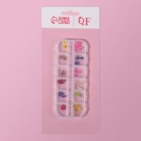 Сухоцветы для декора ногтей &laquo;Ассорти&raquo;, объёмные, 12 видов, в футляре, разноцветные