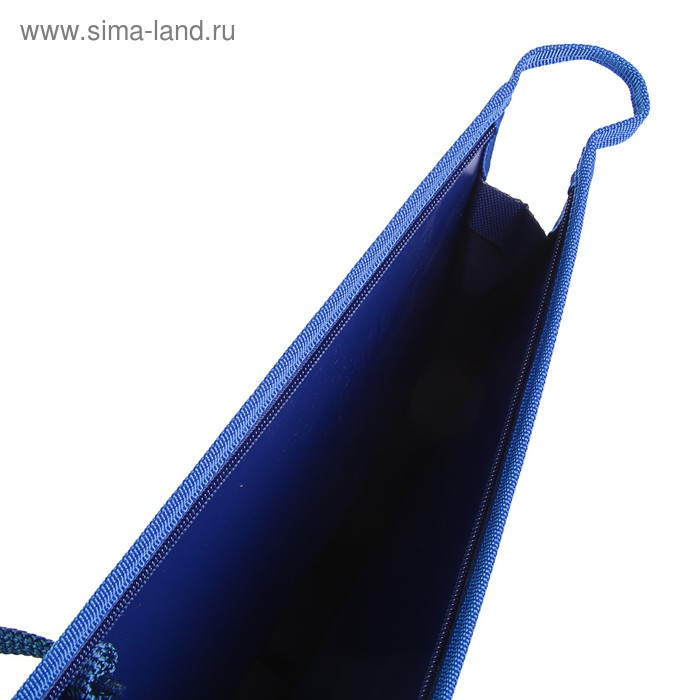 Папка для чертежей и рисунков А2, 650 х 480 х 50 мм, 0.9 мм, с ручками, пластиковая, молния сверху, Оникс, ПР 2, тёмно-синяя Папка для чертежей и рисунков А2, 650 х 480 х 50 мм, 0.9 мм, с ручками, пластиковая, молния сверху, Оникс, ПР 2, тёмно-синяя