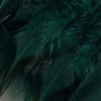 Тесьма с перьями петуха, 10-15 см, 5 &plusmn; 0,5 м, цвет изумрудный