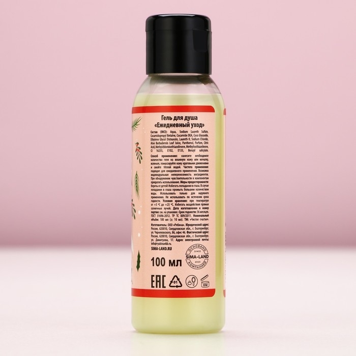 Подарочный набор косметики «С Новым Годом», гель для душа 100 мл и соль для ванны 100 г, аромат пряного цитруса, ЧИСТОЕ СЧАСТЬЕ Подарочный набор косметики «С Новым Годом», гель для душа 100 мл и соль для ванны 100 г, аромат пряного цитруса, ЧИСТОЕ СЧАСТЬЕ