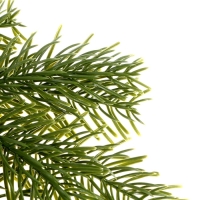 Декор &laquo;Ветвь душистой ели&raquo;