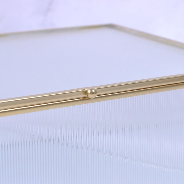 Органайзер для хранения «RIPPLES», с крышкой, стеклянный, с зеркальным дном, 1 секция, 25 × 17,5 × 8,5 см, цвет прозрачный/медный Органайзер для хранения «RIPPLES», с крышкой, стеклянный, с зеркальным дном, 1 секция, 25 × 17,5 × 8,5 см, цвет прозрачный/медный