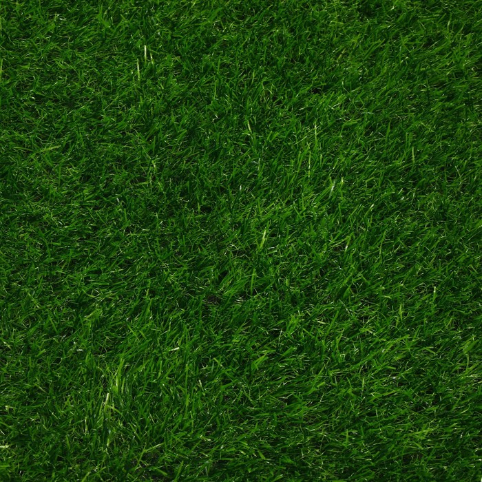 Газон искусственный, ворс 30 мм, 2 × 5 м, трёхцветный, тёмно-зелёный, Greengo Газон искусственный, ворс 30 мм, 2 × 5 м, трёхцветный, тёмно-зелёный, Greengo