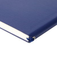 Ежедневник недатированный А5, 128 листов GRAND, интегральная обложка из искусственной кожи, ляссе, кремовый блок 70 г/м2, синий Ежедневник недатированный А5, 128 листов GRAND, интегральная обложка из искусственной кожи, ляссе, кремовый блок 70 г/м2, синий