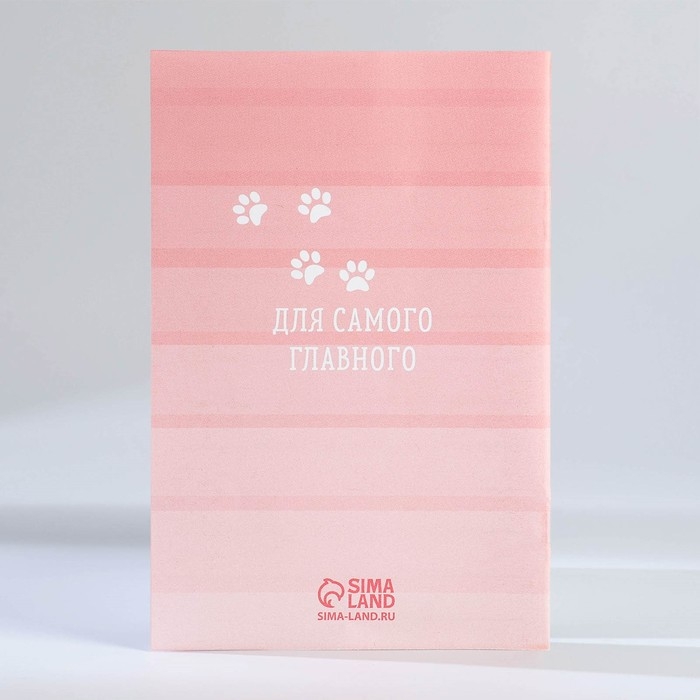 Подарочный набор блокнот - раскраска, мелки 4 шт. «Кошка» Подарочный набор блокнот - раскраска, мелки 4 шт. «Кошка»