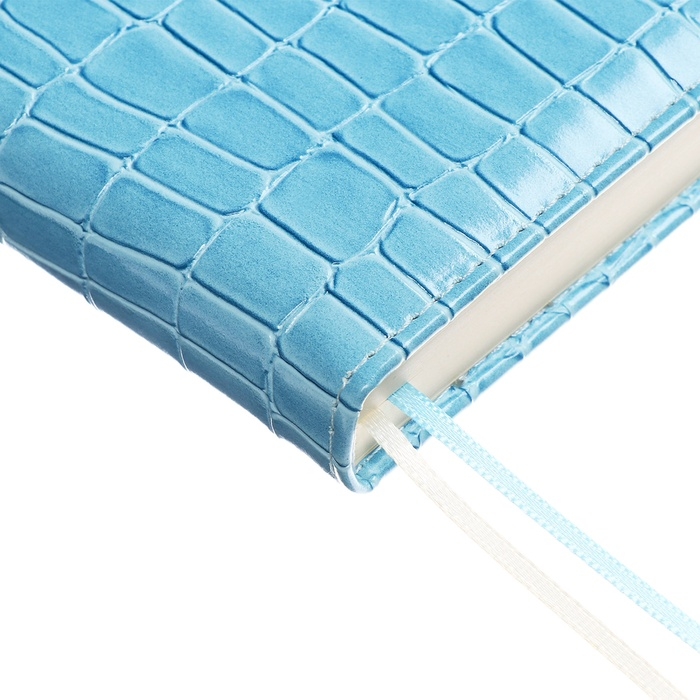 Ежедневник датированный 2025 года A5, 168 листов, deVENTE. Barbara, твердая обложка кожзам с поролоном, перфорацией, ляссе, блок 70, голубой