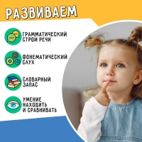 Развивающий набор «Паронимы» Развивающий набор «Паронимы»