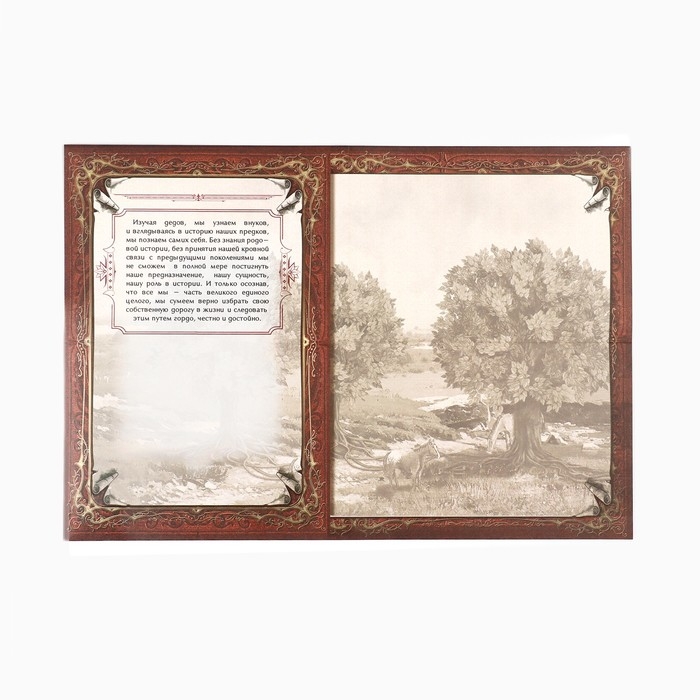 Родословная книга в шкатулке с деревом &laquo;Книга моей семьи&raquo;, 20 х 26 см.