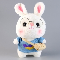 Мягкая игрушка «Зайка», в кофточке с сумочкой, 25 см, цвет МИКС Мягкая игрушка «Зайка», в кофточке с сумочкой, 25 см, цвет МИКС