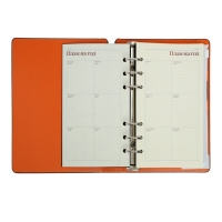 Ежедневник недатированный А5, 120 листов на кольцах FIRENZE, обложка искусственная кожа, блок 70г/м2, чёрный