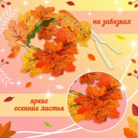 Карнавальный набор &laquo;Осенняя фея&raquo;: крылья, венок, палочка