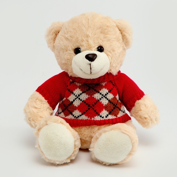 Мягкая игрушка &laquo;Медведь&raquo;, в кофте с ромбиками, 25 см, цвет МИКС