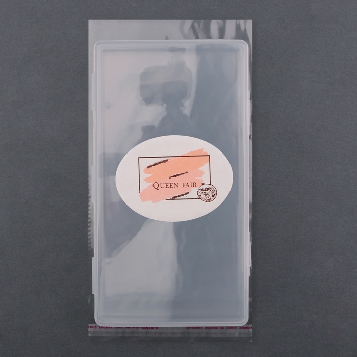 Органайзер для хранения, с крышкой, 19,5 × 10,5 × 2,2 см, цвет прозрачный Органайзер для хранения, с крышкой, 19,5 × 10,5 × 2,2 см, цвет прозрачный