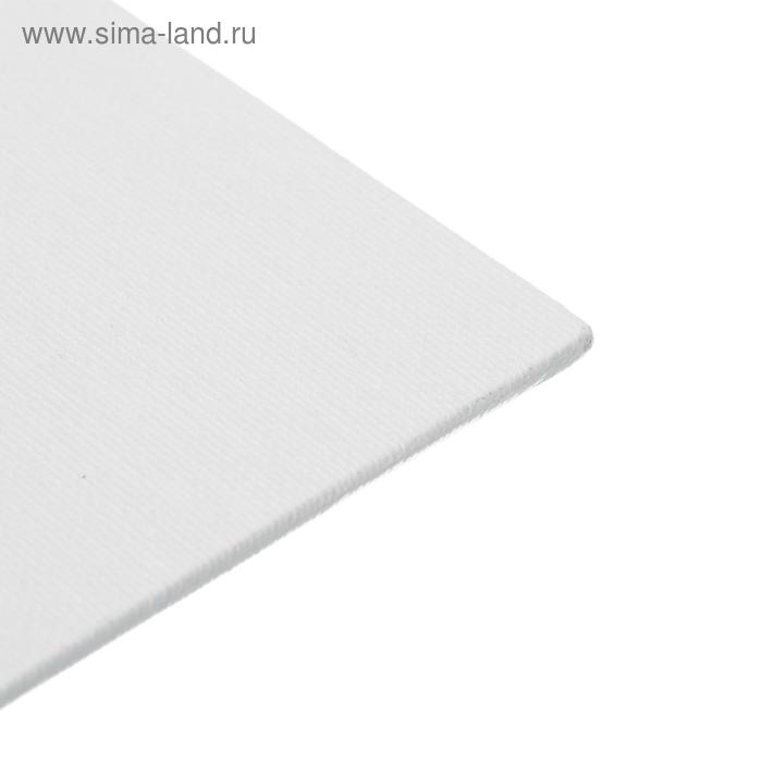 Холст на картоне 30 х 40 см, хлопок 100%, акриловый грунт, мелкозернистый, Холст на картоне 30 х 40 см, хлопок 100%, акриловый грунт, мелкозернистый, "Студия"