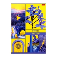 Тетрадь А4, 48 листов в клетку "В мире грез", обложка мелованный картон, глянцевая ламинация, блок 60г/м2 , МИКС