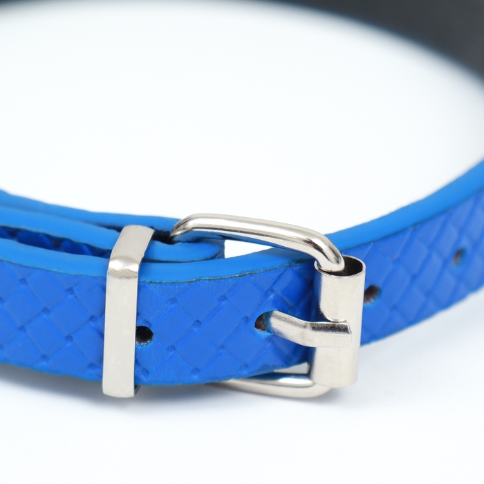 Ошейник рифленый с 2 рядами клепок, 33 х 1,2 см, ОШ 23-29, синий Ошейник рифленый с 2 рядами клепок, 33 х 1,2 см, ОШ 23-29, синий