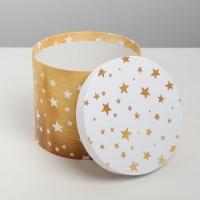 Набор подарочных коробок 5 в 1 &laquo;Изморозь&raquo;, 13 х 14‒19.5 х 22 см 3580137, Новый год