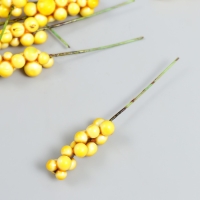 Декор для творчества "Веточка с ягодами" жёлтый набор 10 шт 1х1х9 см