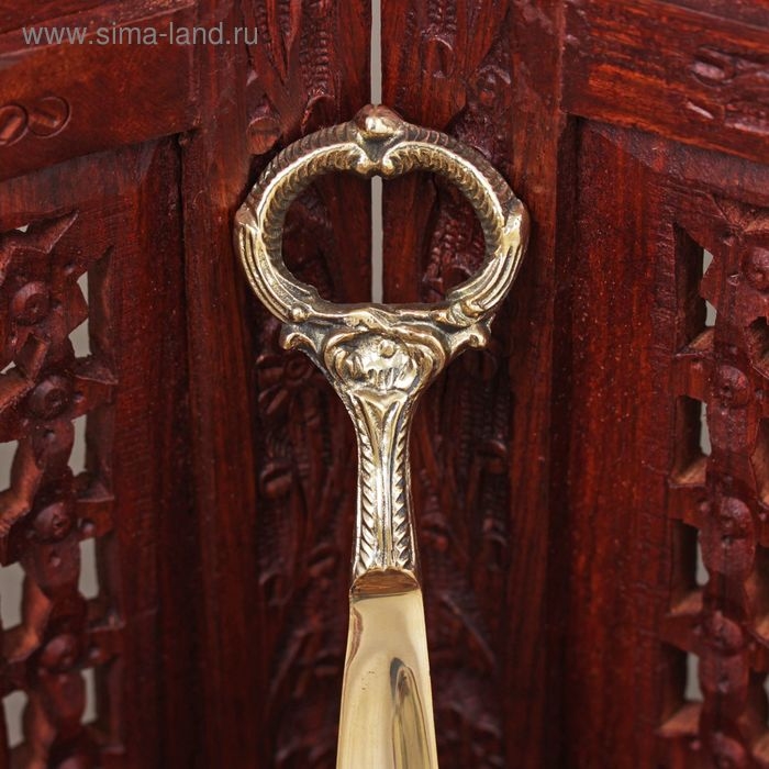 Ложка для обуви Ложка для обуви "Кольцо" латунь 25х5х1 см