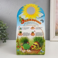 Растущий подарок травка Экоживчик "Панда" Растущий подарок травка Экоживчик "Панда"