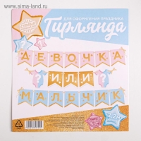 Гирлянда на ленте &laquo;Гендер пати&raquo;, мальчик или девочка, длина 220 см