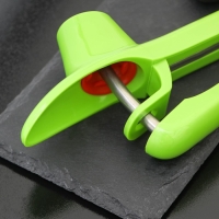 Удалитель косточки Доляна &laquo;Эдда&raquo;, 20 см, цвет зелёный