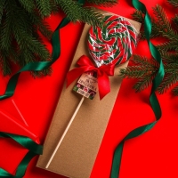 Леденец на палочке &laquo;Почувствуй вкус праздника&raquo;, вкус: вишня, 110 г.