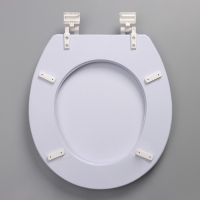 Сиденье для унитаза с крышкой Доляна &laquo;Ромашки&raquo;, 42&times;36,5 см