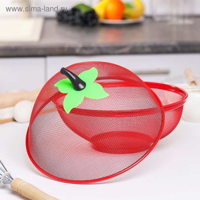 Сито с крышкой для хранения продуктов Доляна &laquo;Вкус&raquo;, d=25 см, цвет МИКС