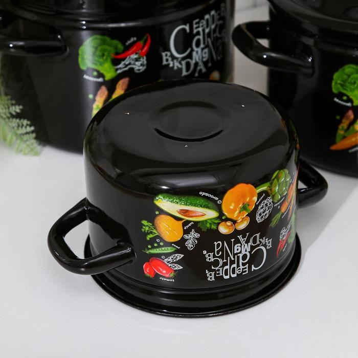 Набор кастрюль &laquo;Рацион&raquo;, 3 предмета: 2 л, 4 л, 6 л, эмалированные крышки, индукция