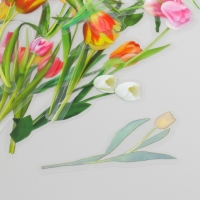 Наклейки для творчества пластик PVC "Тюльпаны" набор 40 шт 9х10.5 см