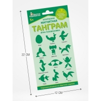 Логическая магнитная головоломка &laquo;Танграм. Яйцо&raquo;