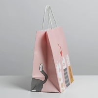 Пакет подарочный, упаковка, &laquo;Киса&raquo;, 22 х 22 х 11 см